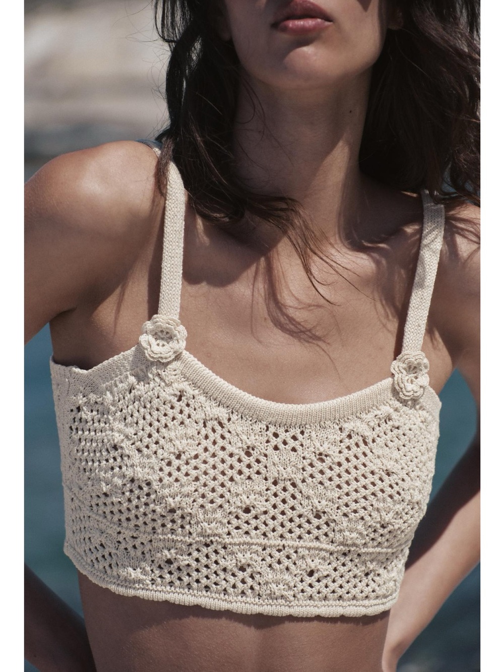 ZARA POINTELLE FLORAL KNIT TOP